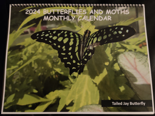 2024 Butterfly Calendar